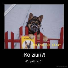 -Ko ziuri?! - -Ko pati ziuri?!
