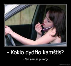 - Kokio dydžio kamštis? - - Nežinau,aš pirmoji