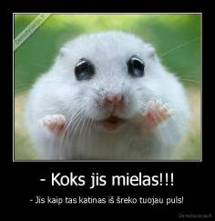 - Koks jis mielas!!! - - Jis kaip tas katinas iš šreko tuojau puls!