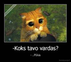 -Koks tavo vardas? - - ..Pūkis