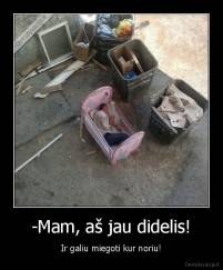 -Mam, aš jau didelis! - Ir galiu miegoti kur noriu!