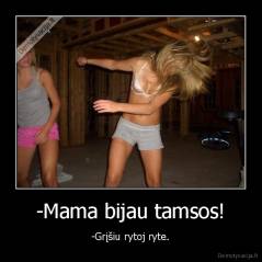 -Mama bijau tamsos! - -Grįšiu rytoj ryte.