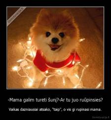 -Mama galim turėti šunį?-Ar tu juo ruūpinsies? - Vaikas dazniausiai atsako, "taip", o vis gi rupinasi mama.