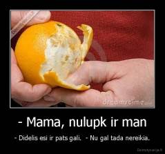 - Mama, nulupk ir man - - Didelis esi ir pats gali.  - Nu gal tada nereikia.