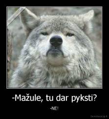 -Mažule, tu dar pyksti? - -NE!