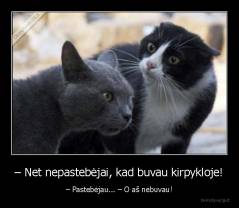 – Net nepastebėjai, kad buvau kirpykloje! - – Pastebėjau... – O aš nebuvau!