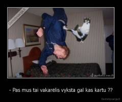- Pas mus tai vakarėlis vyksta gal kas kartu ?? - 