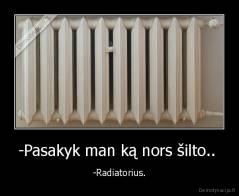 -Pasakyk man ką nors šilto..  - -Radiatorius.