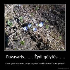 -Pavasaris....... Žydi gėlytės...... - -Gerai gerai supratau, tai gal pagaliau paaiškinsi kas čia per gėlytė?