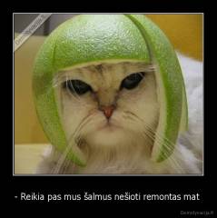 - Reikia pas mus šalmus nešioti remontas mat  - 