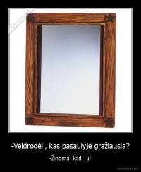 -Veidrodėli, kas pasaulyje gražiausia? - -Žinoma, kad Tu!