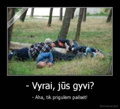 - Vyrai, jūs gyvi? - - Aha, tik prigulėm pailsėt!