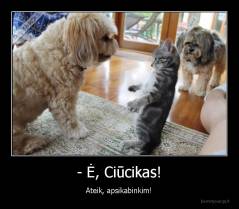 - Ė, Ciūcikas! - Ateik, apsikabinkim!