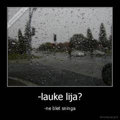 -lauke lija? - -ne blet sninga