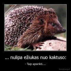 ... nulipa ežiukas nuo kaktuso: - - Taip apsirikti....