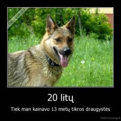 20 litų - Tiek man kainavo 13 metų tikros draugystės