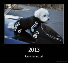 2013 - kauno marozai