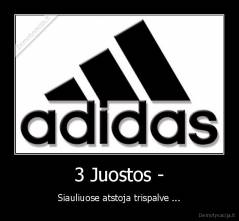 3 Juostos - - Siauliuose atstoja trispalve ...