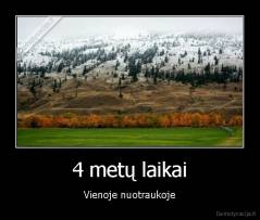 4 metų laikai - Vienoje nuotraukoje