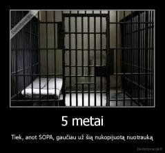 5 metai - Tiek, anot SOPA, gaučiau už šią nukopijuotą nuotrauką