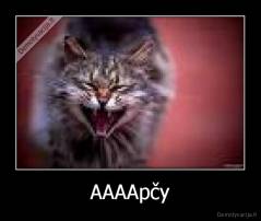 AAAApčy - 