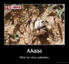 AAaaa - Shtai kur shuo pakastas.