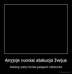 Airyjoje ruoniai atakuoja žvejus - Kadangi patys žuvies pasigauti nebemoka