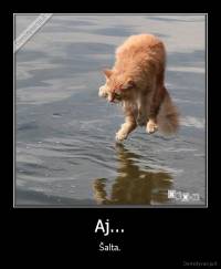 Aj... - Šalta.