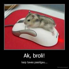 Ak, broli! - kaip taves pasiilgau...