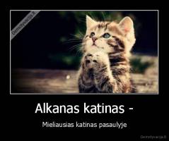 Alkanas katinas - - Mieliausias katinas pasaulyje
