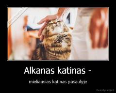 Alkanas katinas - - mieliausias katinas pasaulyje