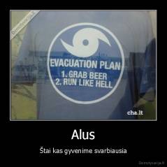 Alus - Štai kas gyvenime svarbiausia