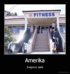 Amerika - Svajoniu salis