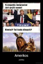 Amerikos - politika