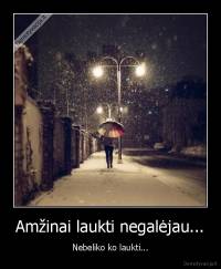 Amžinai laukti negalėjau... - Nebeliko ko laukti...