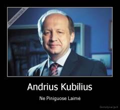 Andrius Kubilius - Ne Piniguose Laimė