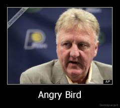 Angry Bird - 