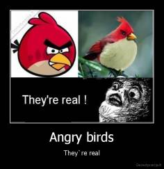 Angry birds - They`re real