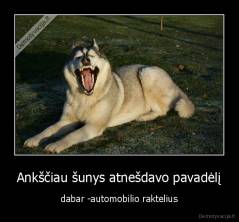 Ankščiau šunys atnešdavo pavadėlį - dabar -automobilio raktelius