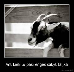Ant kiek tu pasirenges sakyt tai,ka - 