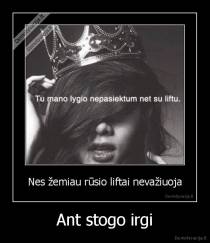 Ant stogo irgi - 