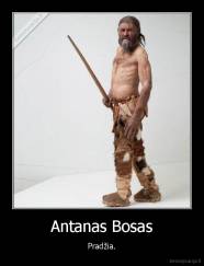 Antanas Bosas - Pradžia.