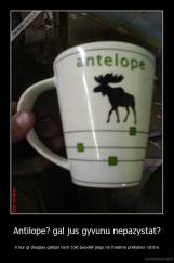 Antilope? gal jus gyvunu nepazystat? - ir kur gi daugiau galejai rasti toki puodeli jaigu ne maxima prekybos centre