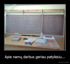 Apie namų darbus geriau patylėsiu... - 