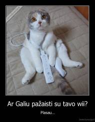 Ar Galiu pažaisti su tavo wii? - Plasau...