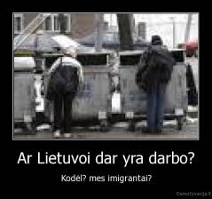 Ar Lietuvoi dar yra darbo? - Kodėl? mes imigrantai?
