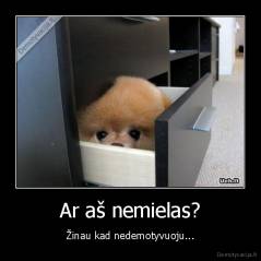 Ar aš nemielas? - Žinau kad nedemotyvuoju...