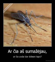 Ar čia aš sumažėjau, - ar čia uodai dar didesni tapo?