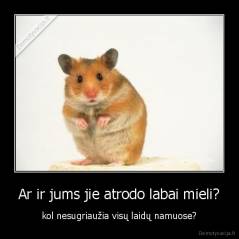 Ar ir jums jie atrodo labai mieli? - kol nesugriaužia visų laidų namuose?