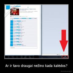 Ar ir tavo draugai nežino kada kalėdos? - 